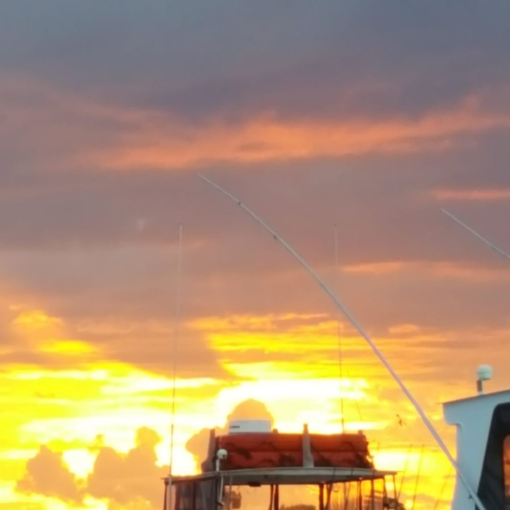 Meet your Posher, Theresa